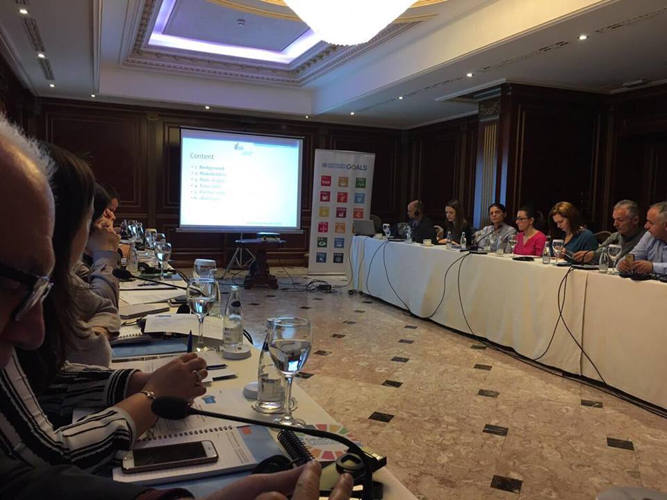 Kosovo CSR Network Participates in Strategic and Technical Dialogue on MAPS and SDGs