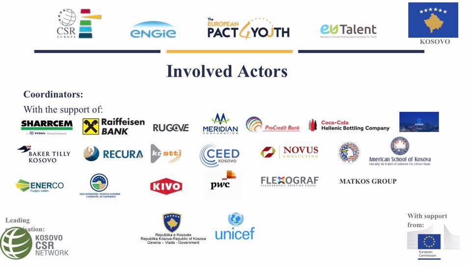 Involved Actors in the Pact4Youth Project