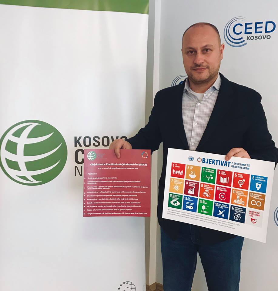 SDG 8 – Decent Work and Economic Growth